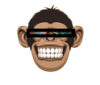 Blind Monkey